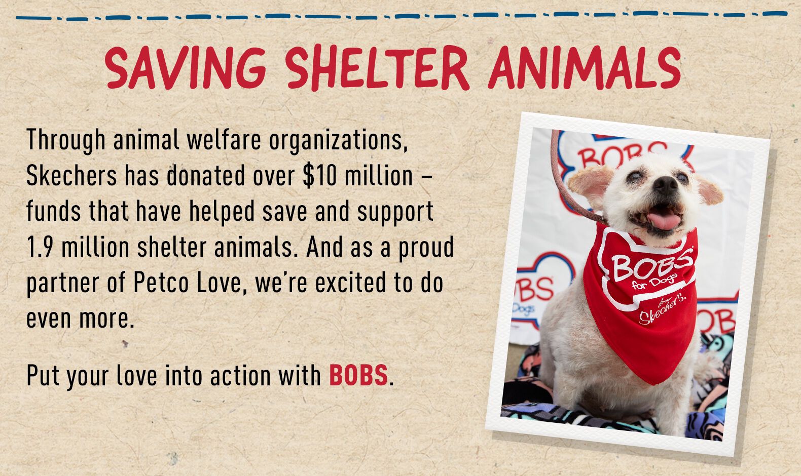 Saving Shelter Animals' Lives