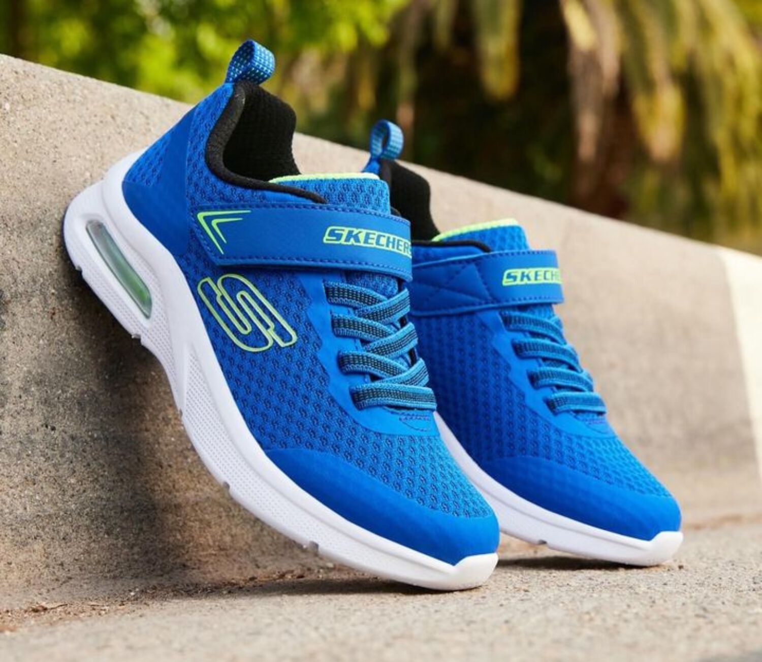 Back to school skechers online