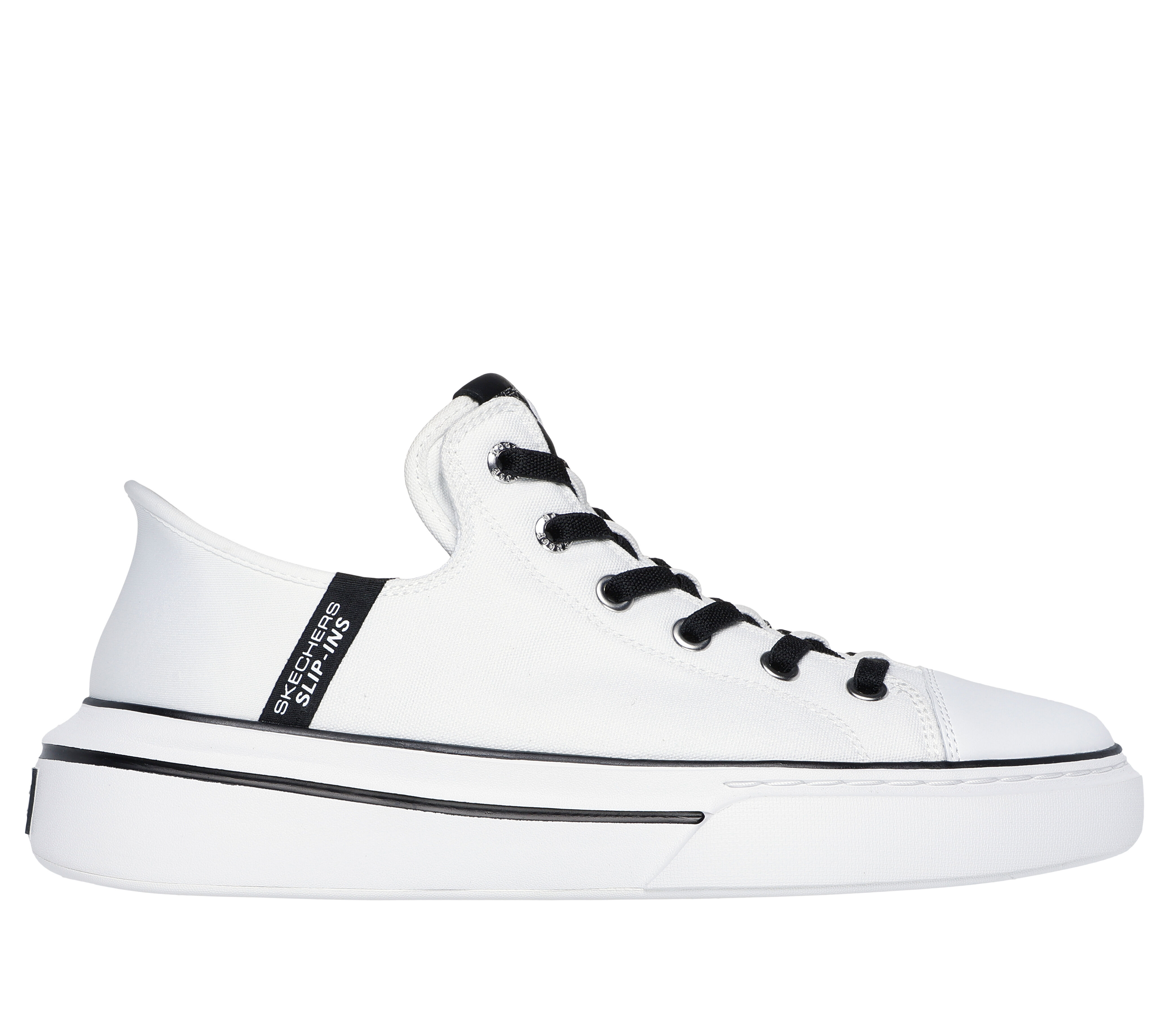 Sketchers canvas clearance