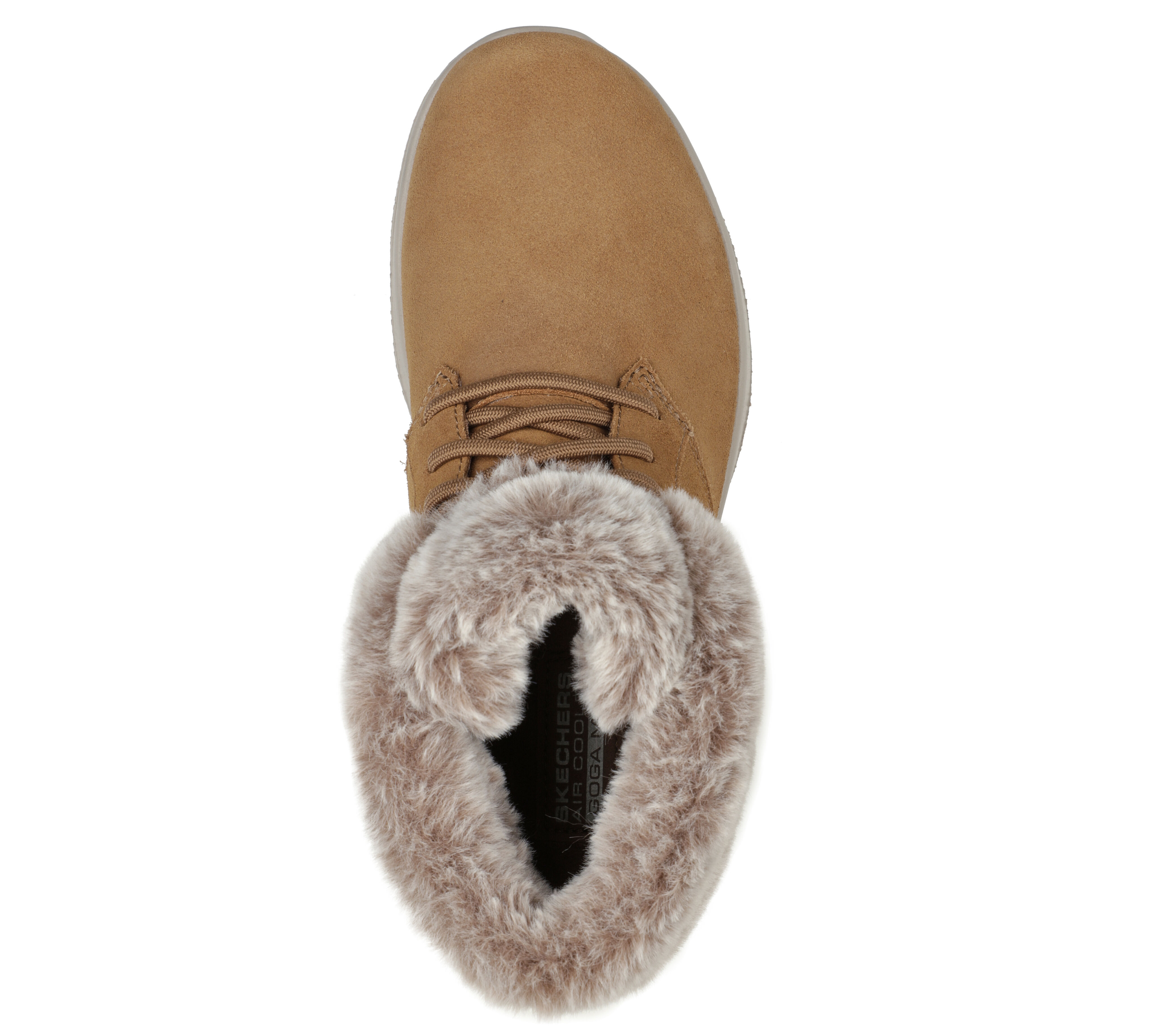 Skechers on the go lush on sale